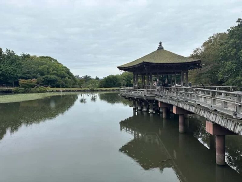 Osaka: Discovering Nara Timeless Grace Guided Tour - Who Should Consider This Tour?