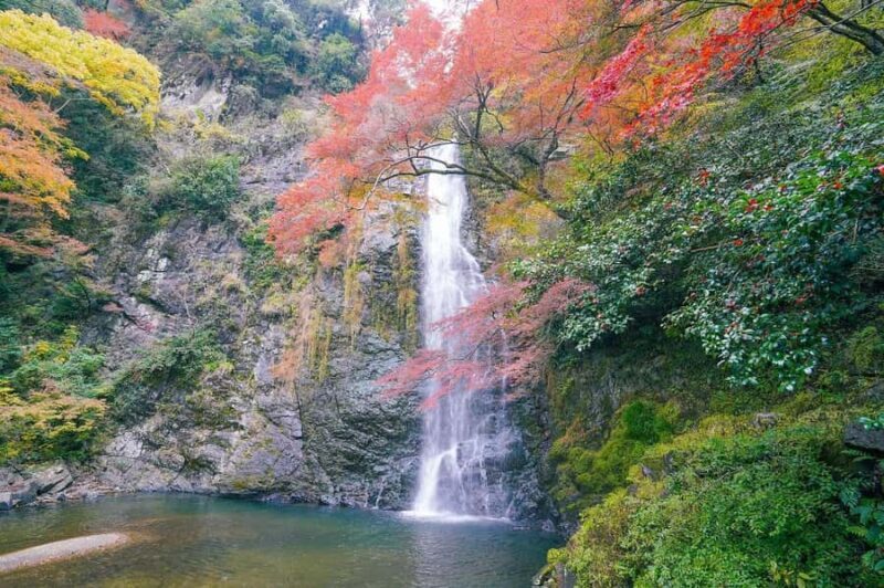 Osaka Early Bird Trail: Katsuo-ji Daruma & Minoh Falls Walk - Who is this tour best suited for?