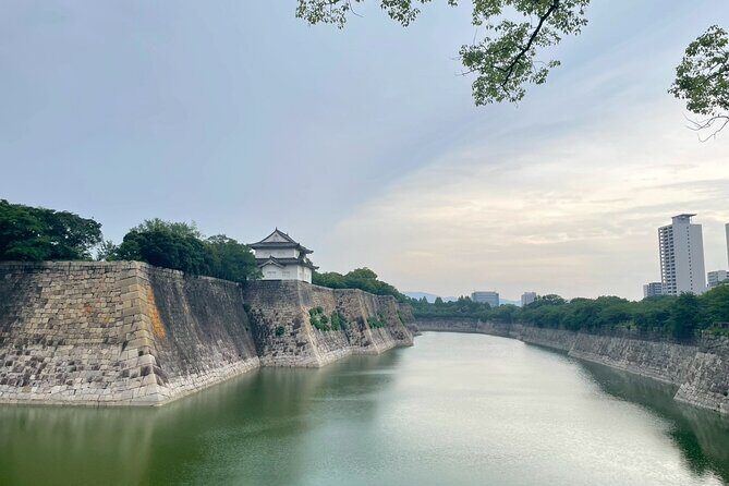 Osaka Full-Day Experience with Castle, Kushikastu and Temple - An In-Depth Look at the Osaka Full-Day Tour