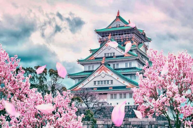 Osaka: Full-Day Private City Highlights Tour with Pickup - A Deep Dive into the Osaka Private Tour Experience