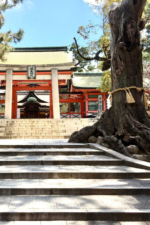 Osaka: Full-Day Private Guided Tour of the Historical City - Who Is This Tour Best For?  