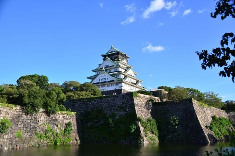 Osaka: Full-Day Sightseeing Tour by Private Vehicle - Exploring Osaka in Style and Comfort