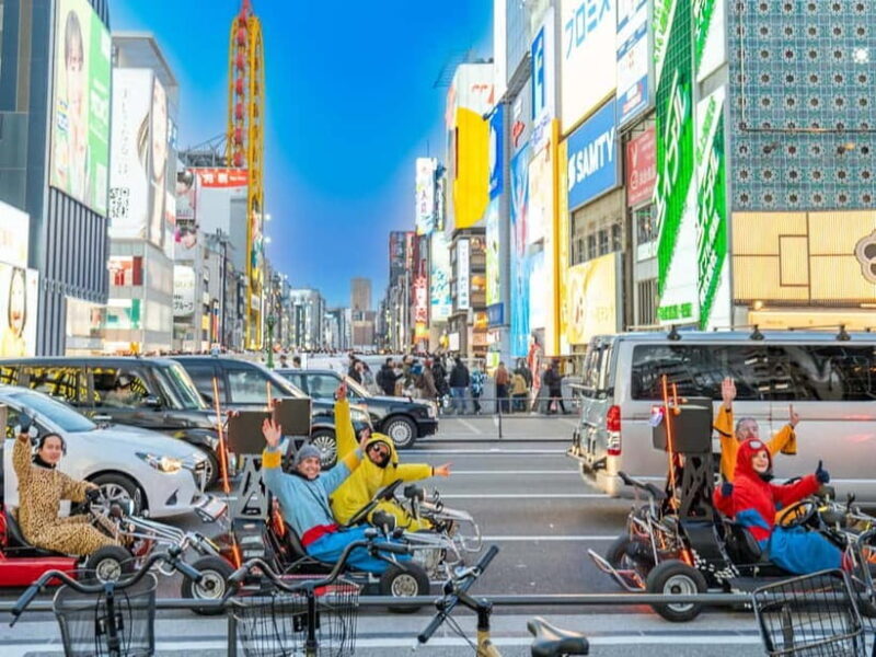 Osaka: Guided Go Karting Tour in a Funny Costume - Key Points