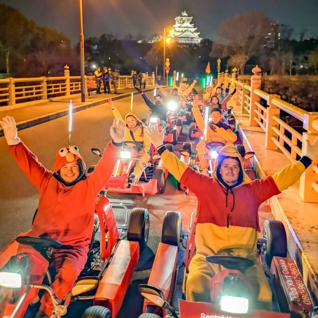 Osaka: Guided Go Karting Tour in a Funny Costume - Who Would Love This Tour?