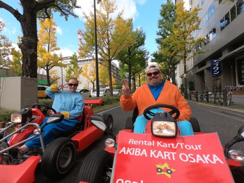 Osaka: Guided Go Karting Tour in a Funny Costume - The Sum Up
