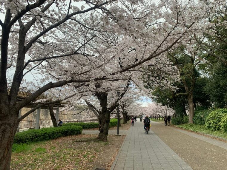 osaka-guided-walking-tour-with-a-native-expert-top-sights