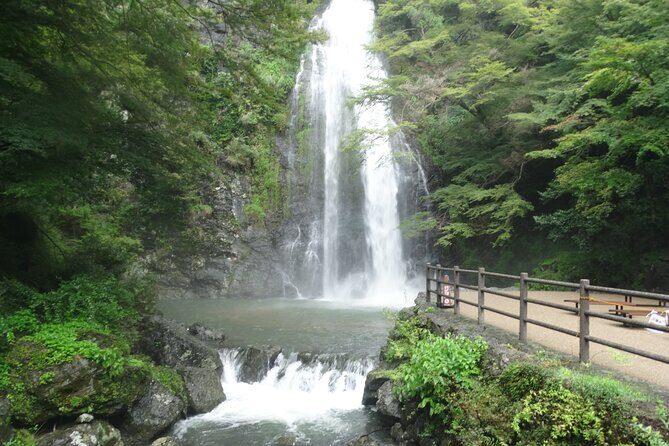 Osaka Half-day E-bike Tour: Minoh Falls, Katsuoji Temple w Lunch - Discovering Osaka’s Hidden Natural Gems on Two Wheels