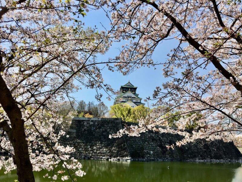 osaka-half-day-private-guided-tour-of-the-castle