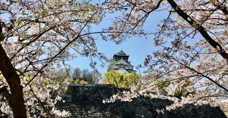 osaka-half-day-private-guided-tour-of-the-castle