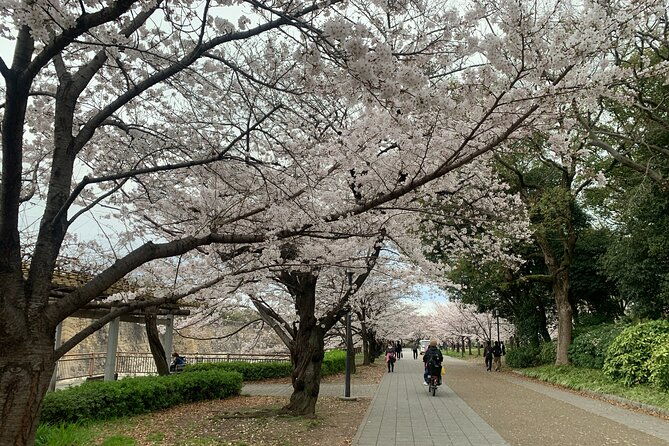 osaka-highlights-4hrs-guided-walking-tour-with-a-native-expert