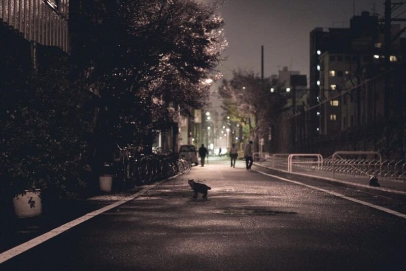 osaka-historical-red-light-district-and-ghetto-walking-tour