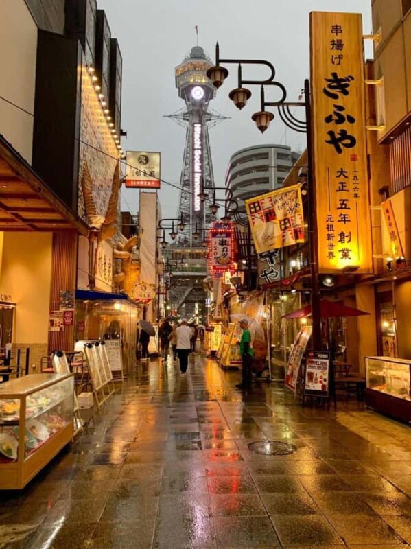 Osaka: History, Architecture & River Vistas Private tour - Key Points