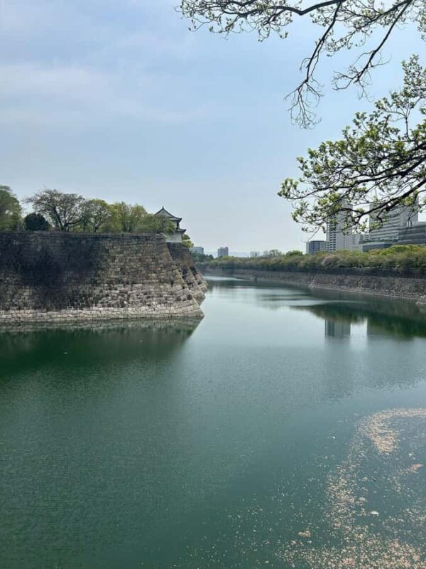 Osaka: History, Architecture & River Vistas Private tour - Who Will Love This Tour?