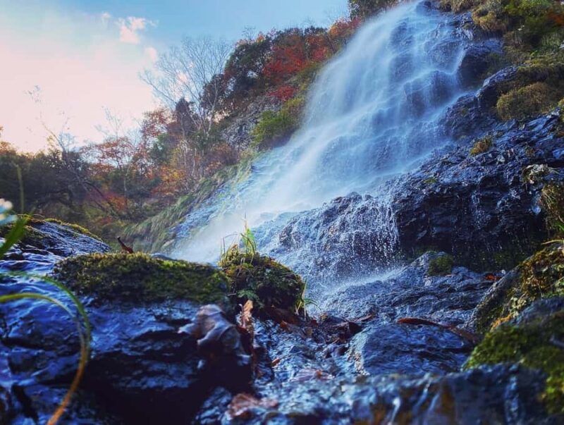 Osaka: Hyogo Day Trip with Ritsunkyo Gorge & Izushi - What to Expect on the Day Trip