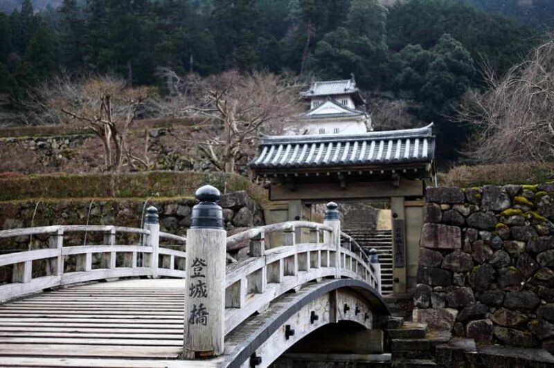 Osaka: Hyogo Day Trip with Ritsunkyo Gorge & Izushi - Authentic Experiences and Tips