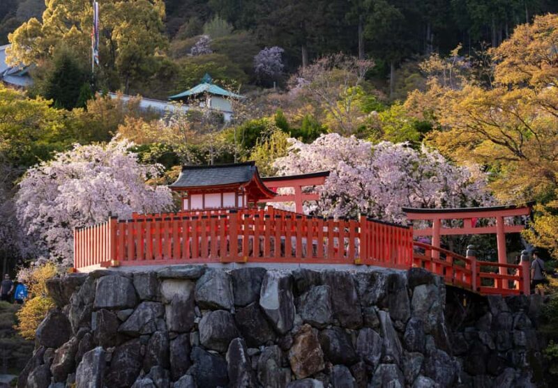 Osaka: Katsuoji Temple Guided Tour with Bus Transfer - Exploring the Serenity of Katsuoji Temple: A Guided Tour from Osaka