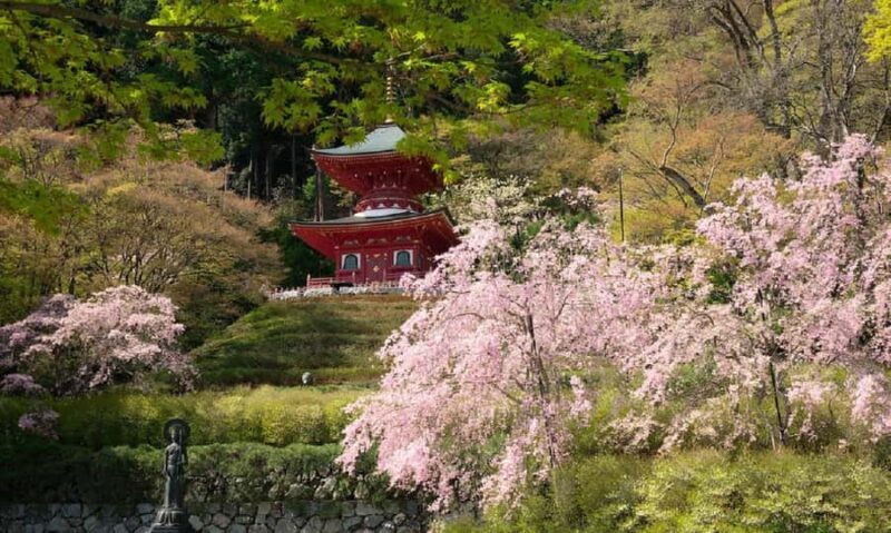 Osaka: Katsuoji Temple Guided Tour with Bus Transfer - Who Should Consider This Tour?