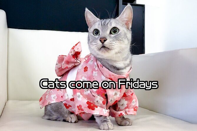 Osaka Kimono Rental - Who Should Book This Tour?