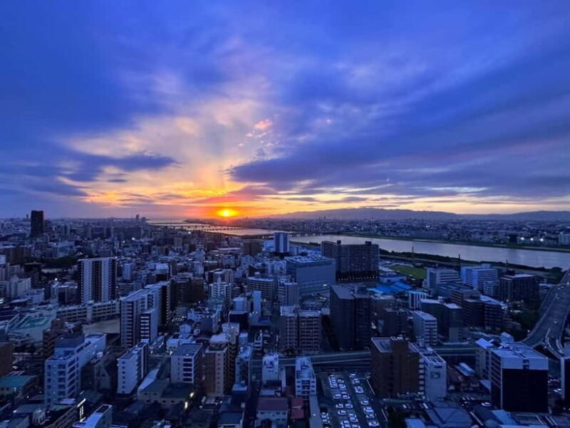 Osaka: Koji Kinutani Tenku Art Museum Entry Ticket - Practical Tips for Visiting