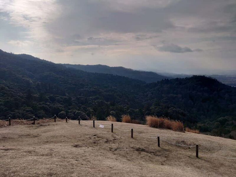 Osaka/Kyoto: 710 Day Nature & Adventure Tour - What’s Included and What to Prepare