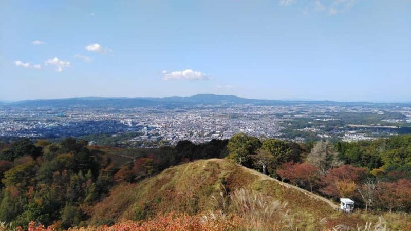 Osaka/Kyoto: 710 Day Nature & Adventure Tour - The Overall Value