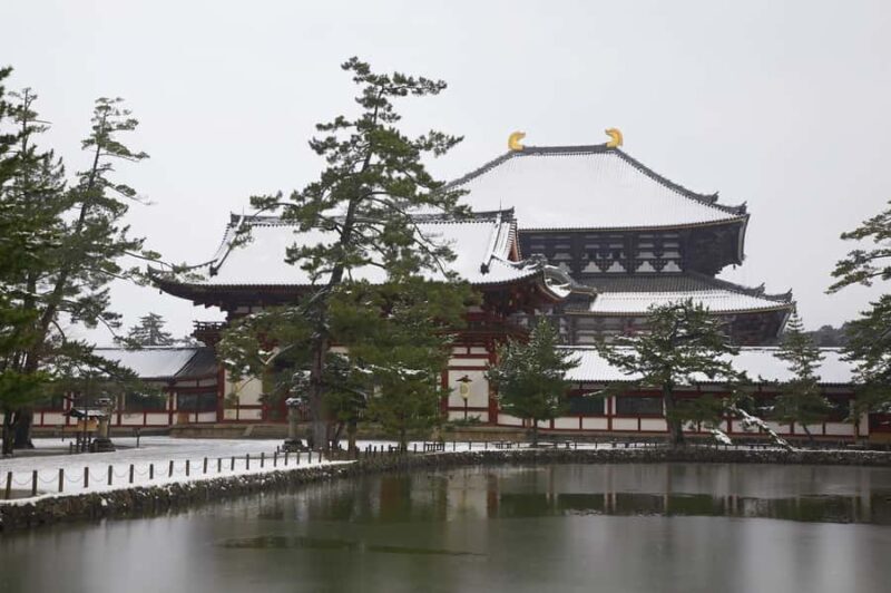 Osaka: Kyoto and Nara Day Tour with 7 to 9 Must-See Spots - Practical Tips