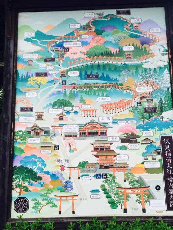 Osaka: Kyoto and Nara Day Trip with Pickup - Key Points