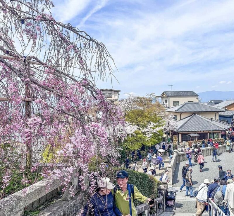 Osaka: Kyoto And Nara private Adventure Tour Hotel Pickup - Who Should Consider This Tour?