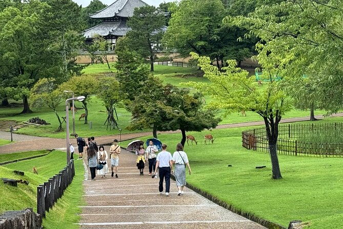 osaka-kyoto-and-nara-private-tour-with-english-speaking-guide