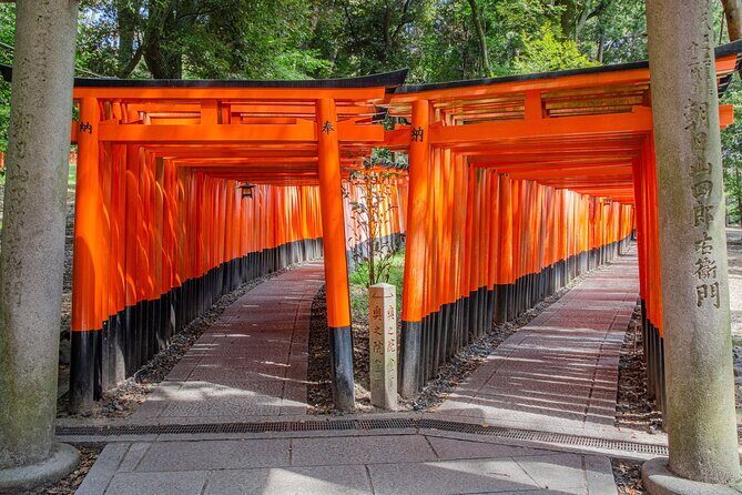 Osaka/Kyoto: Arashiyama, Fushimi Inari & Nara Park Day Trip - Authentic Experiences & Highlights