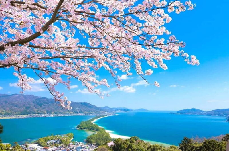 Osaka: Kyoto By The Sea with Amanohashidate & Ine no Funaya - Practical Tips for the Tour