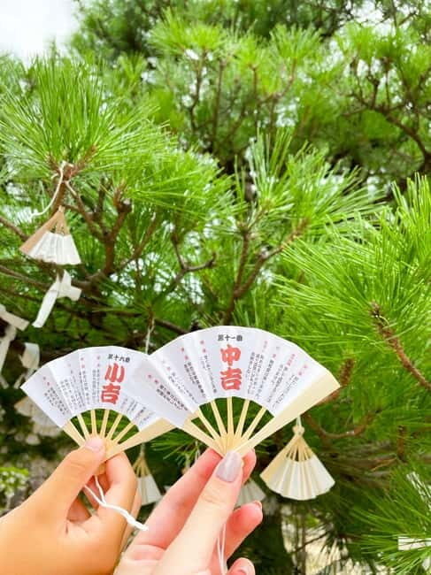 Osaka: Kyoto By The Sea with Amanohashidate & Ine no Funaya - Authenticity and Guide Quality