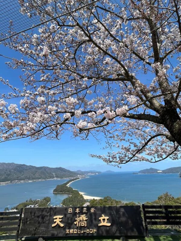 Osaka/Kyoto: Enjoy Amanohashidate & Ine 1-Day Bus Tour - An In-Depth Look at the Tour