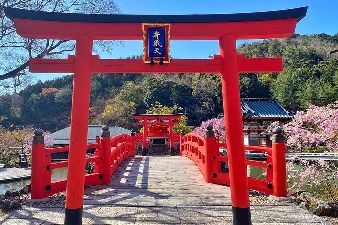 Osaka / Kyoto: Katsuoji, Arashiyama & Kinkaku-ji One Day Tour - The Guide’s Role