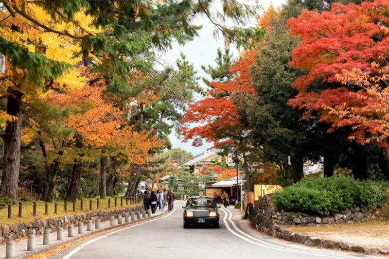 Osaka: Kyoto Kinkaku-ji, Kiyomizu-dera & Pottery Experience - Who Will Enjoy This Tour?