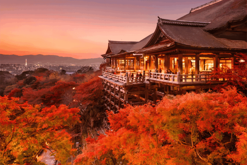 osaka-kyoto-kiyomizudera-nara-deer-sighting-day-trip