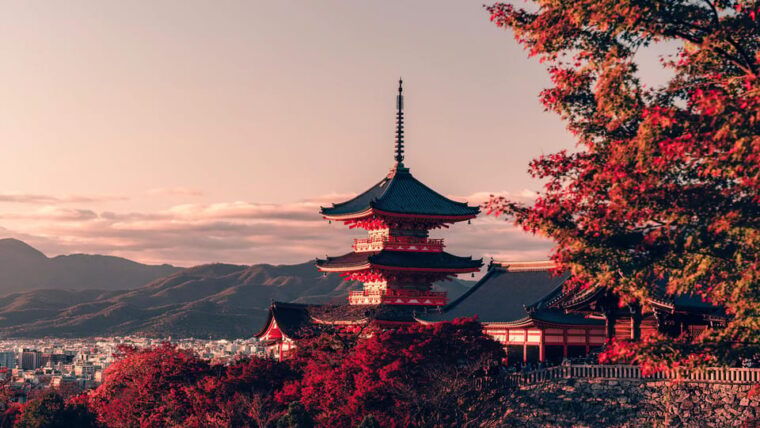 osaka-kyoto-kiyomizudera-nara-deer-sighting-day-trip