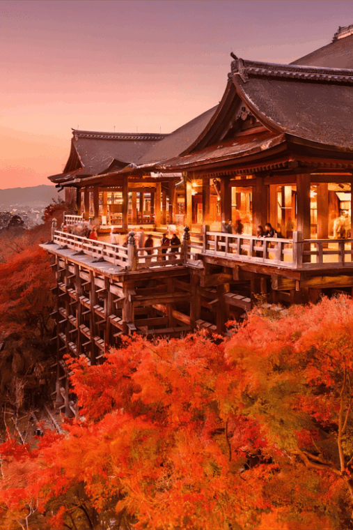 osaka-kyoto-kiyomizudera-nara-deer-sighting-day-trip