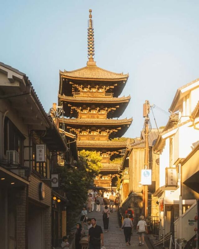 Osaka/Kyoto; Kyoto and Nara customizable Day Tour with Guide - An In-Depth Look at the Tour Experience