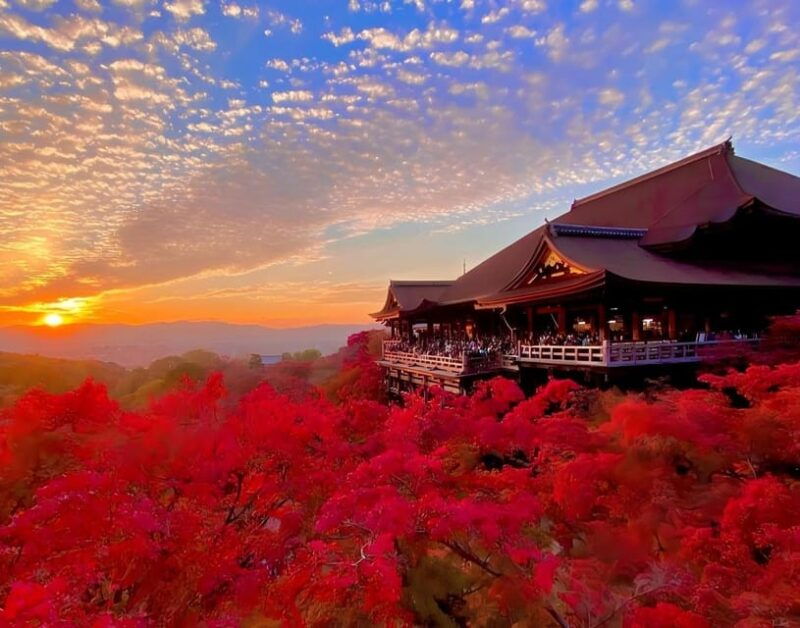 osaka-kyoto-kyoto-and-uji-unesco-word-heritages-bus-tour