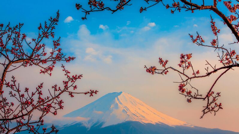 Osaka, Kyoto & Nara 5 Days Tour with Accomodation - What to Expect From This 5-Day Japan Tour