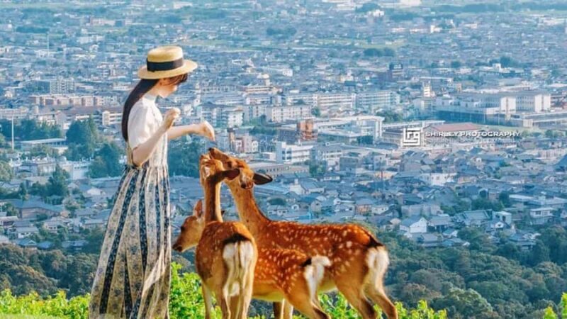 Osaka: Kyoto, Nara, Fushimi Inari, and Arashiyama Tour - Transportation, Guides, and Overall Value