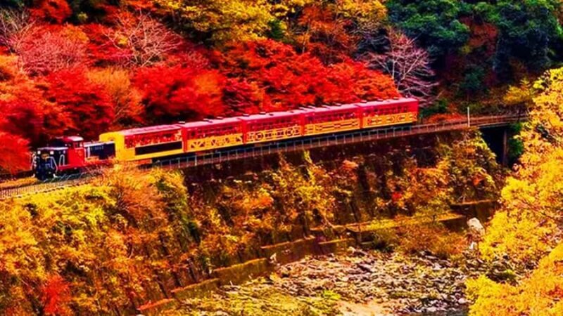 Osaka: Kyoto, Nara, Fushimi Inari, and Arashiyama Tour - FAQs