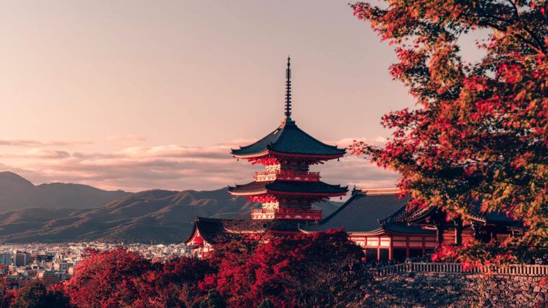 Osaka: Kyoto & Nara Park Deer Sighting Tour /w Hotel Pickup - Final Thoughts: Is This Tour for You?