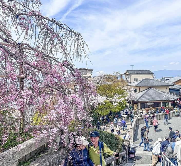 Osaka/Kyoto/Nara: Private Full-Day Sightseeing Tour - Key Points