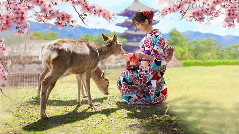 Osaka: Kyoto & Nara & Uji Historical and Scenic One-Day Tour - Practical Details and What to Expect