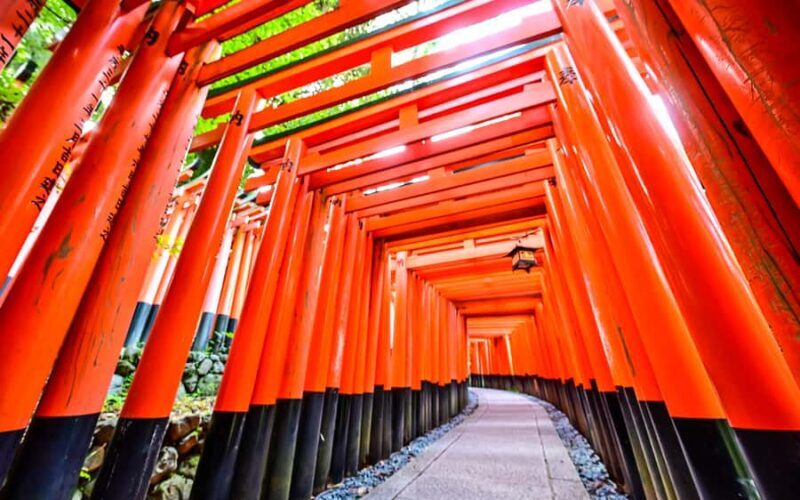 Osaka Kyoto: Nijo Castle, Nara, Arashiyama, Day Trip by Bus - A Detailed Look at the Day Tour Experience