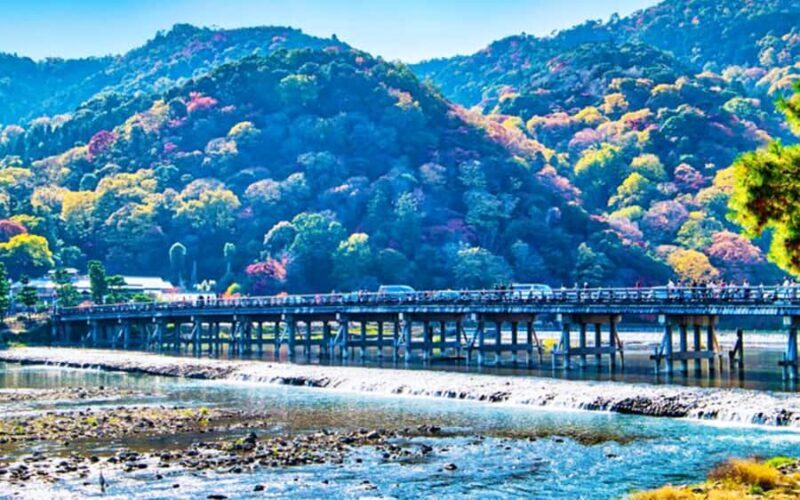 Osaka Kyoto: Nijo Castle, Nara, Arashiyama, Day Trip by Bus - Transportation and Logistics