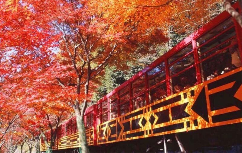 Osaka: Kyoto Private Day Tour with Sagano Scenic Railway - Key Points