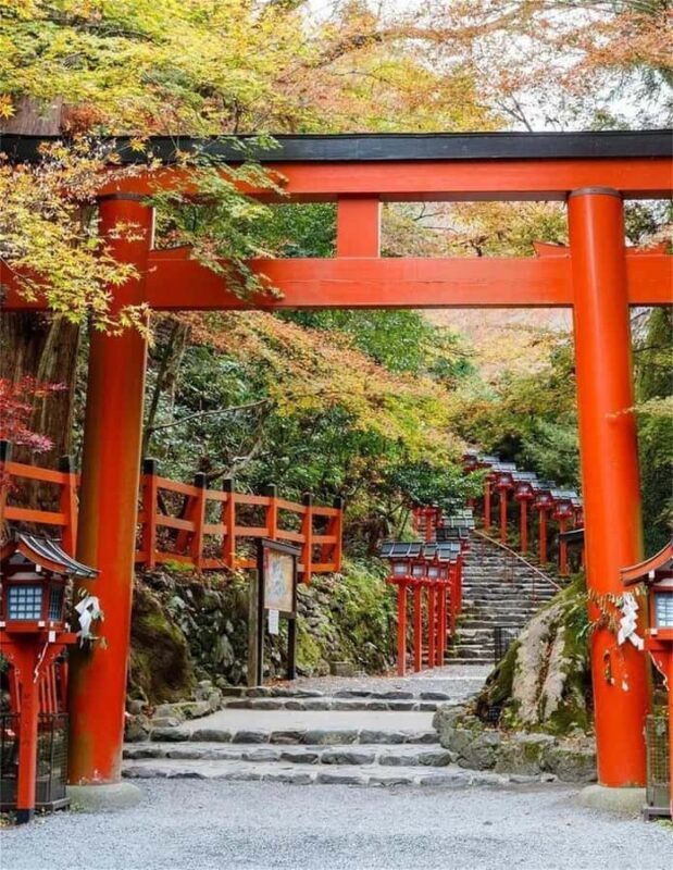 Osaka: Kyoto Private Day Tour with Sagano Scenic Railway - Introduction to the Experience